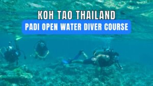 PADI Open Water Diving Course in Koh Tao Thailand
